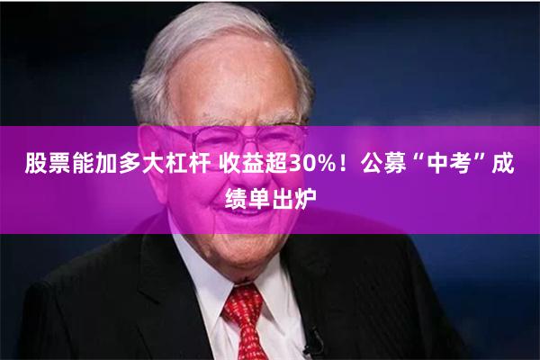 股票能加多大杠杆 收益超30%！公募“中考”成绩单出炉