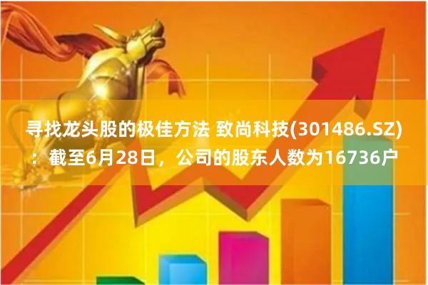 寻找龙头股的极佳方法 致尚科技(301486.SZ)：截至6月28日，公司的股东人数为16736户