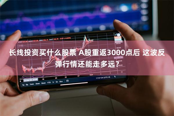 长线投资买什么股票 A股重返3000点后 这波反弹行情还