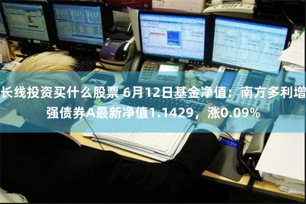 长线投资买什么股票 6月12日基金净值：南方多利增强债券