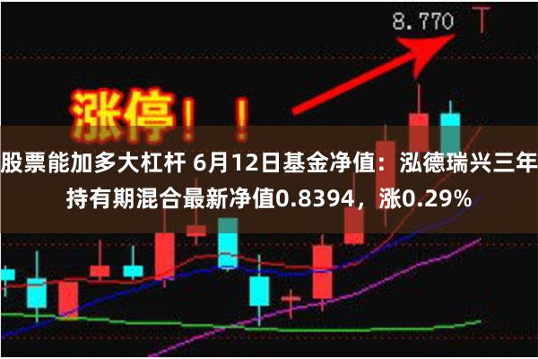 股票能加多大杠杆 6月12日基金净值：泓德瑞兴三年持有期混合最新净值0.8394，涨0.29%