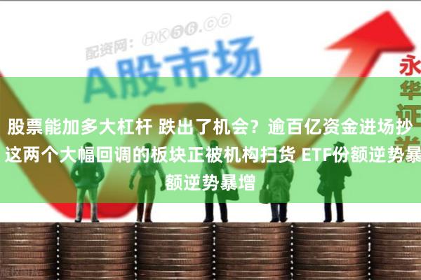 股票能加多大杠杆 跌出了机会？逾百亿资金进场抄底 这两个大幅回调的板块正被机构扫货 ETF份额逆势暴增