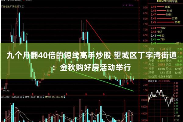 九个月翻40倍的短线高手炒股 望城区丁字湾街道：金秋购好房活动举行