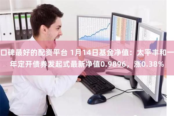口碑最好的配资平台 1月14日基金净值：太平丰和一年定开债券发起式最新净值0.9896，涨0.38%