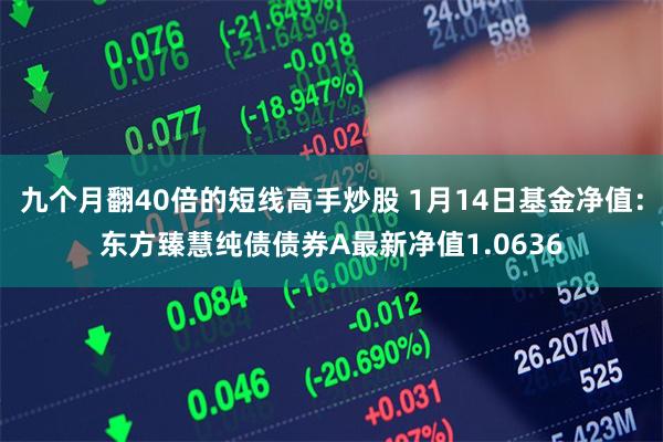 九个月翻40倍的短线高手炒股 1月14日基金净值：东方臻慧纯债债券A最新净值1.0636